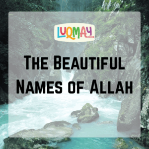 The Beautiful Names of Allah